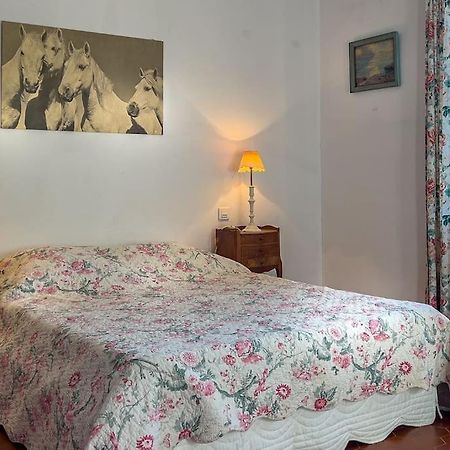 Mas De Charme En Pleine Camargue Villa Saint-Gilles  Bagian luar foto