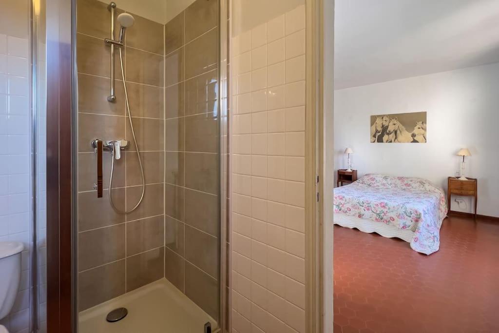 Mas De Charme En Pleine Camargue Villa Saint-Gilles  Bagian luar foto
