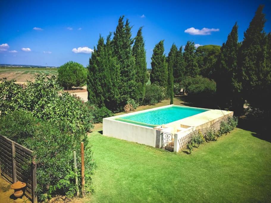 Mas De Charme En Pleine Camargue Villa Saint-Gilles  Bagian luar foto