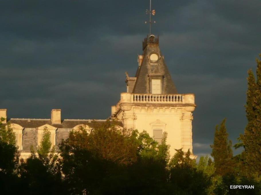 Mas De Charme En Pleine Camargue Villa Saint-Gilles  Bagian luar foto